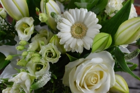 Vase Arrangement