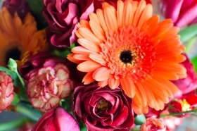 Vase Arrangement